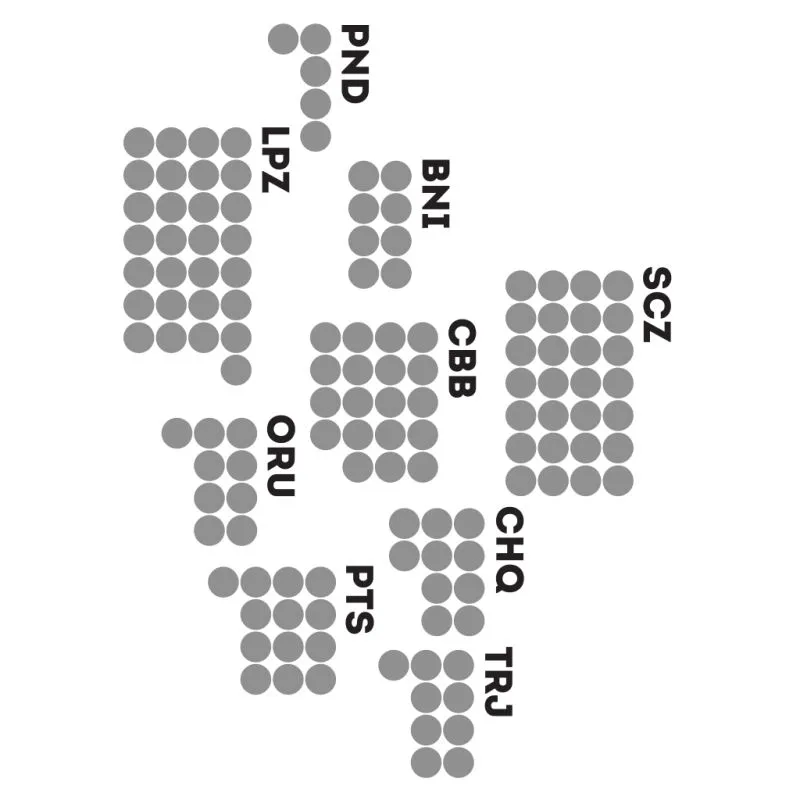 Cartogram of Bolivia, where the size of each department is proportional to the number of representatives